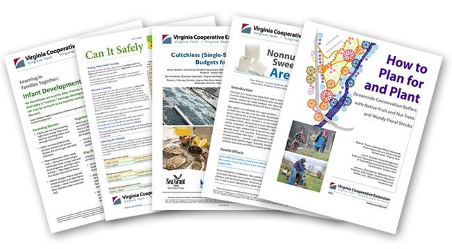 Examples of extension publications
