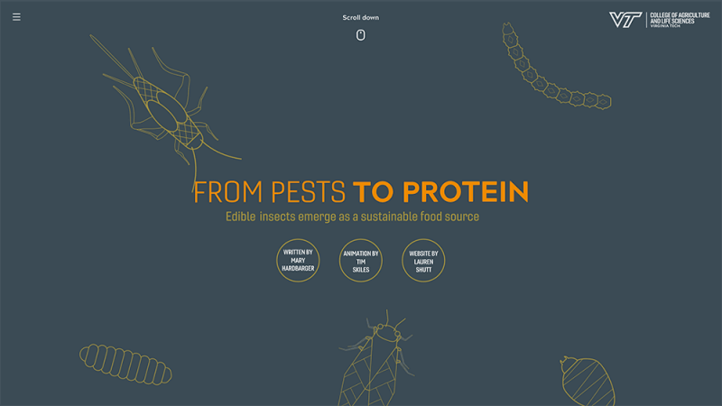 From Pests to Protein website image